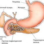 Симптомы и диагностика панкреатита
