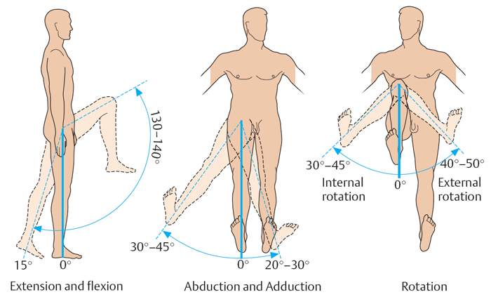 объем движений в коленном суставе, объем движений в суставах, оценка объема движений суставах