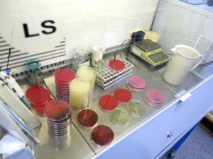 Методы санитараной микробиологии