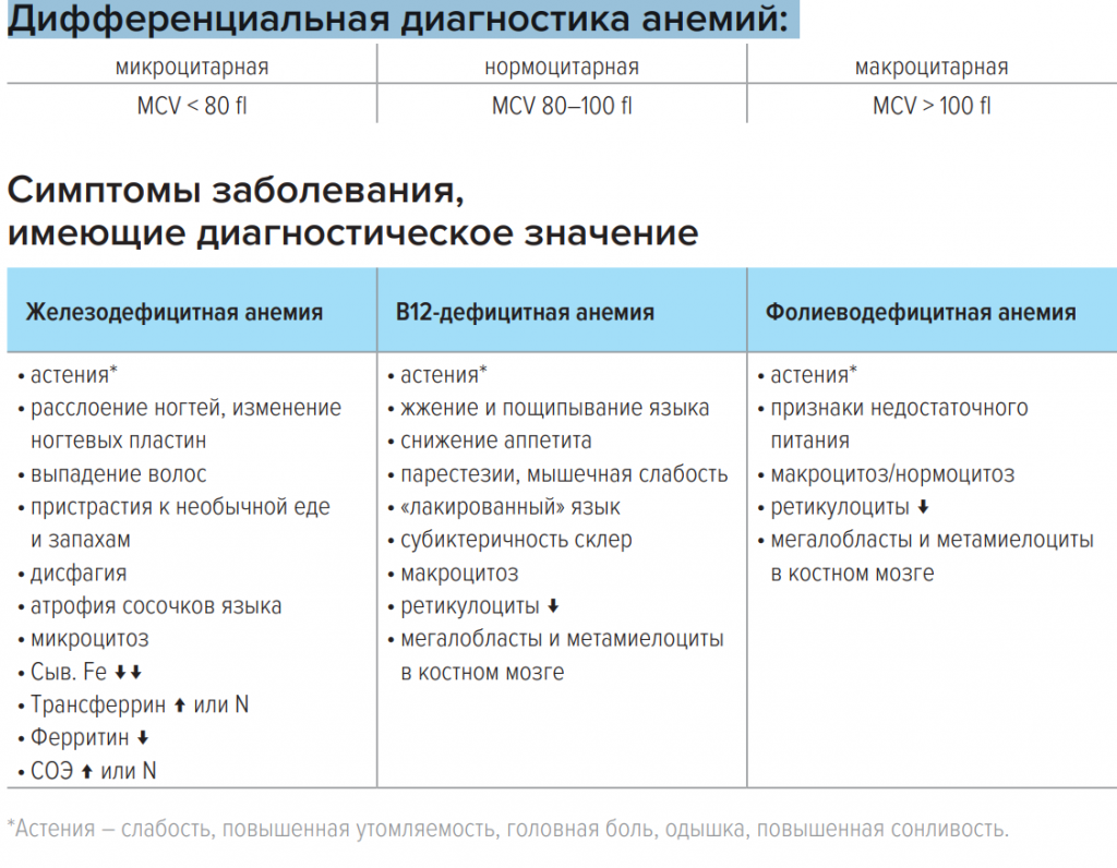 Чем клинический диагноз отличается. В12 дефицитная анемия дифференциальная диагностика. Дифференциальный диагноз в12 дефицитной анемии. В12 дефицитная анемия таблица. Отличие железодефицитной анемии от в12 дефицитной анемии.