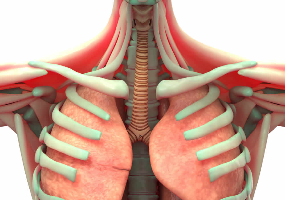 Методика продуктивного кашля, Методика вибрационного массажа грудной клетки, Методика диафрагмального дыхания, Применение статических дыхательных упражнений, Применение динамических дыхательных упражнений