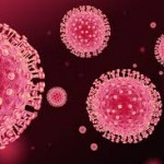 Коронавирусная инфекция: диагностика и лечение