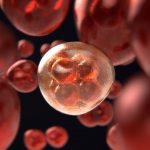 Ученые открыли гены «прыгуны», которые могут защитить от рака крови