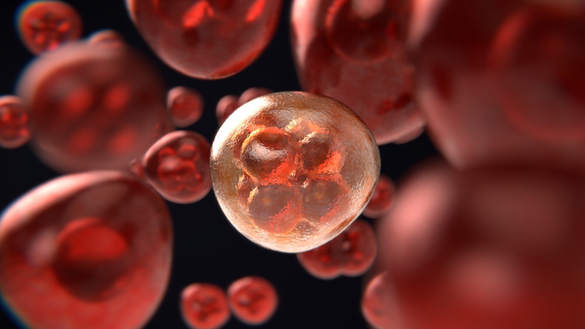 Ученые открыли гены "прыгуны", которые могут защитить от рака крови